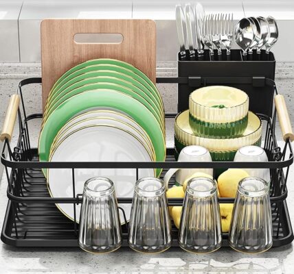 Dish organizer