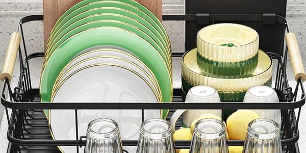 Dish organizer