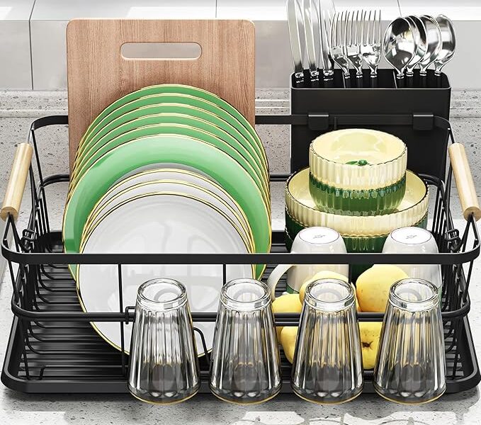 Dish organizer